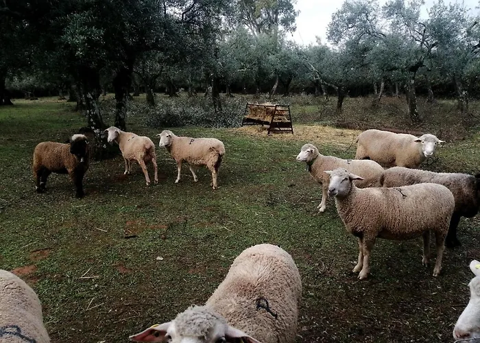 El Venero De Mostoles